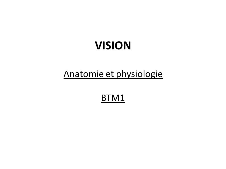 VISION Anatomie et physiologie BTM1