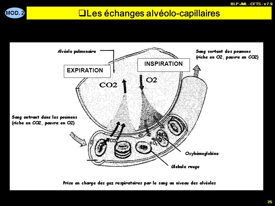 Les échanges alvéolo-capillaires