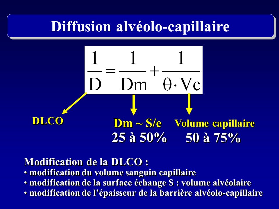 Diffusion alvéolo-capillaire