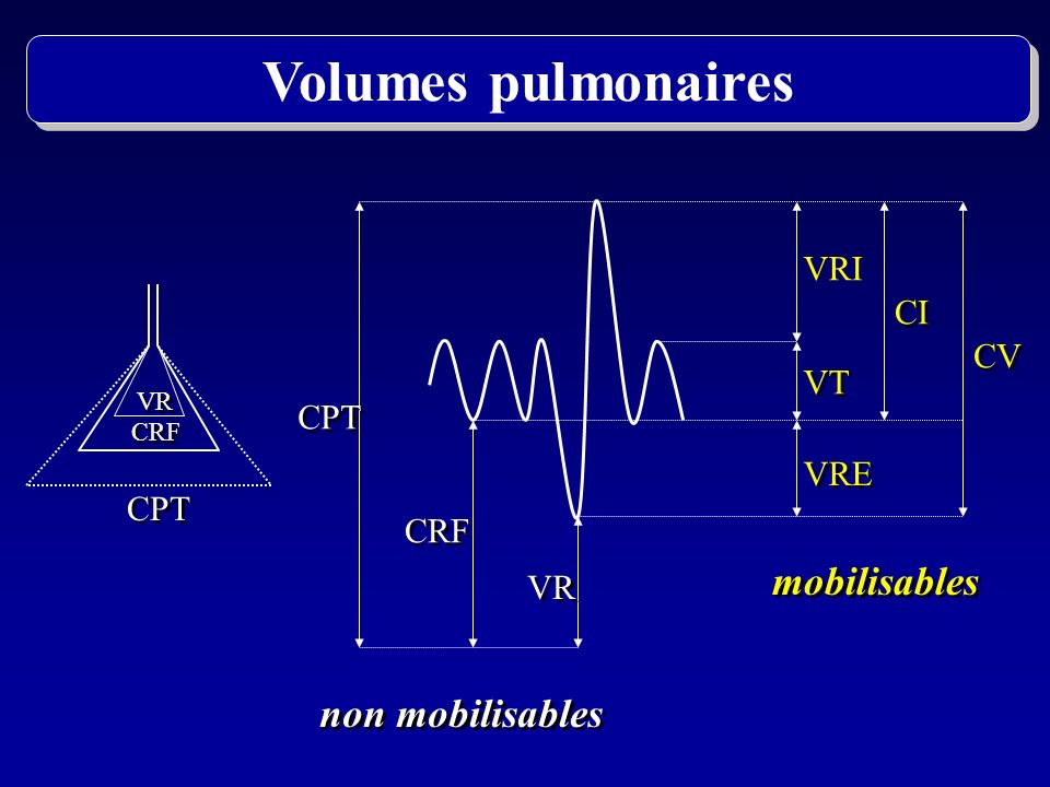 Volumes pulmonaires mobilisables non mobilisables VRI CI CV VT CPT VRE