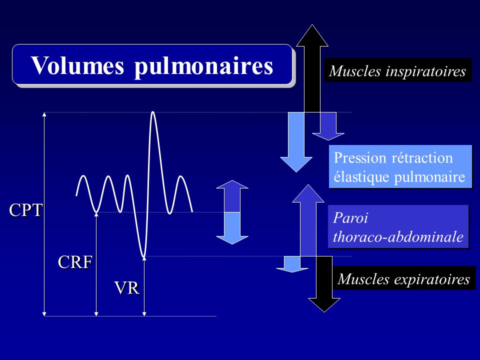 Volumes pulmonaires CPT CRF VR Muscles inspiratoires