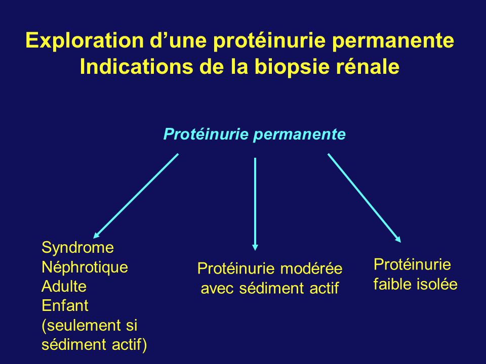 Diagnostic des Protéinuries - ppt video online télécharger