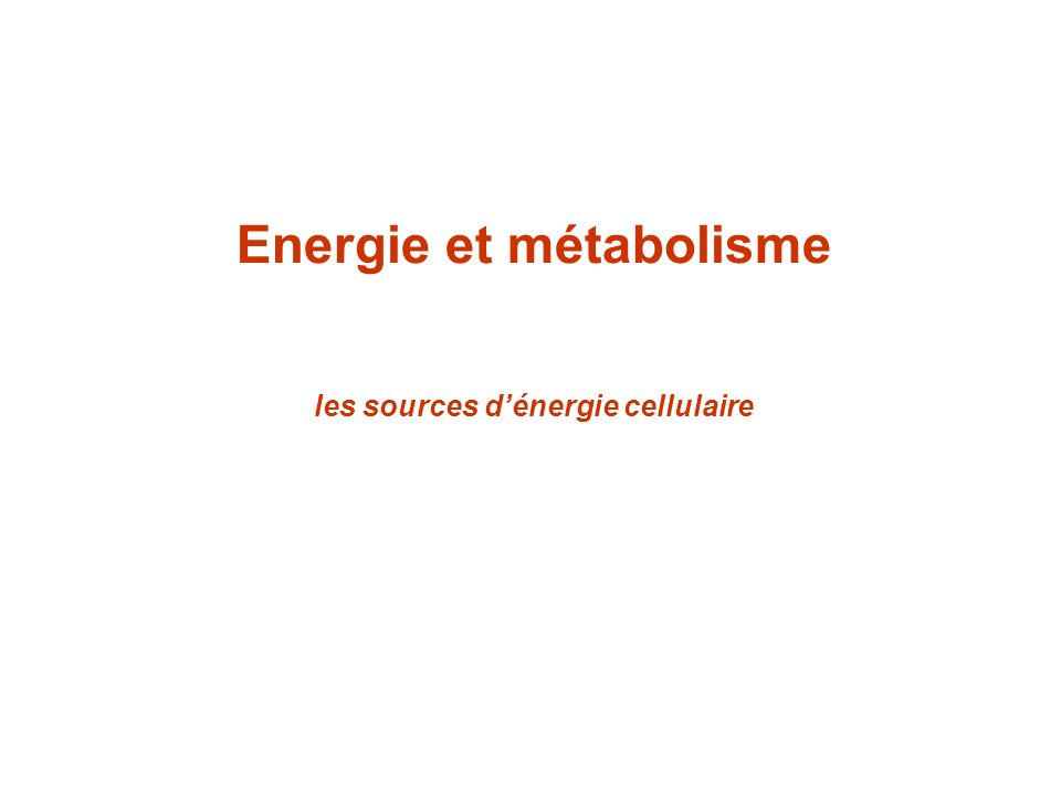 Energie et métabolisme les sources d’énergie cellulaire