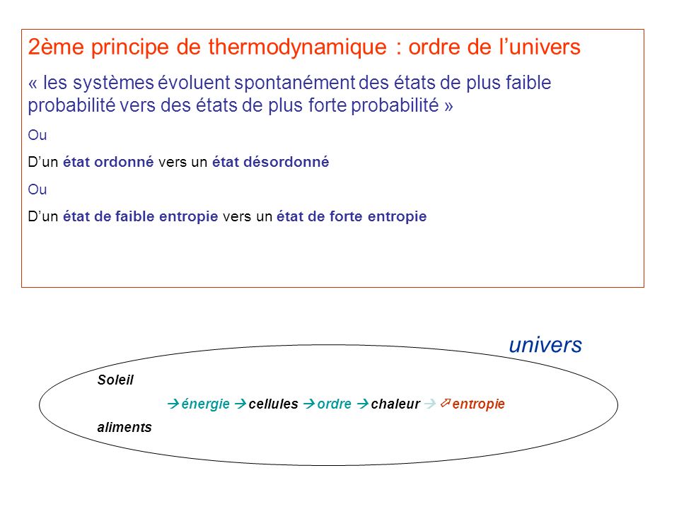 2ème principe de thermodynamique : ordre de l’univers