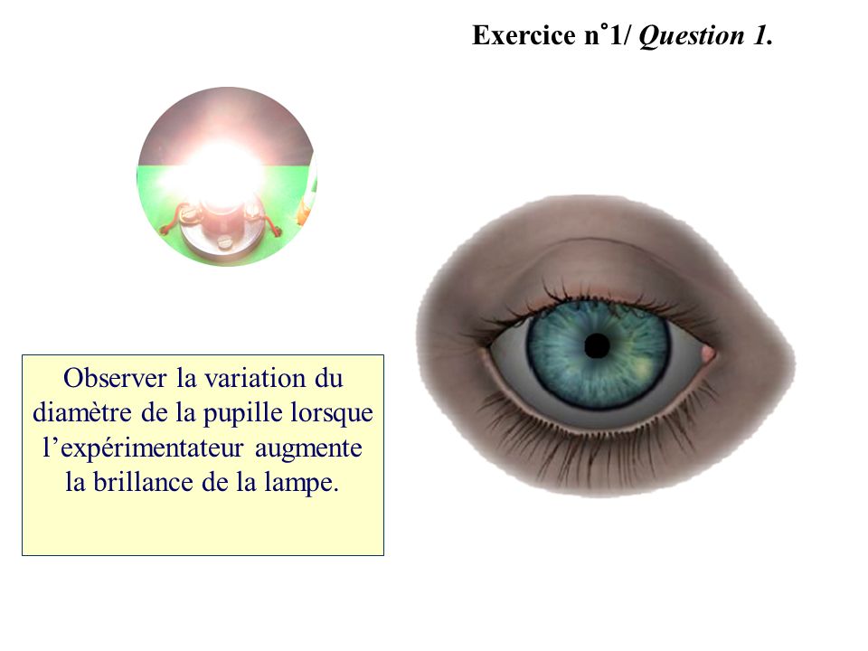 Exercice n°1/ Question 1.