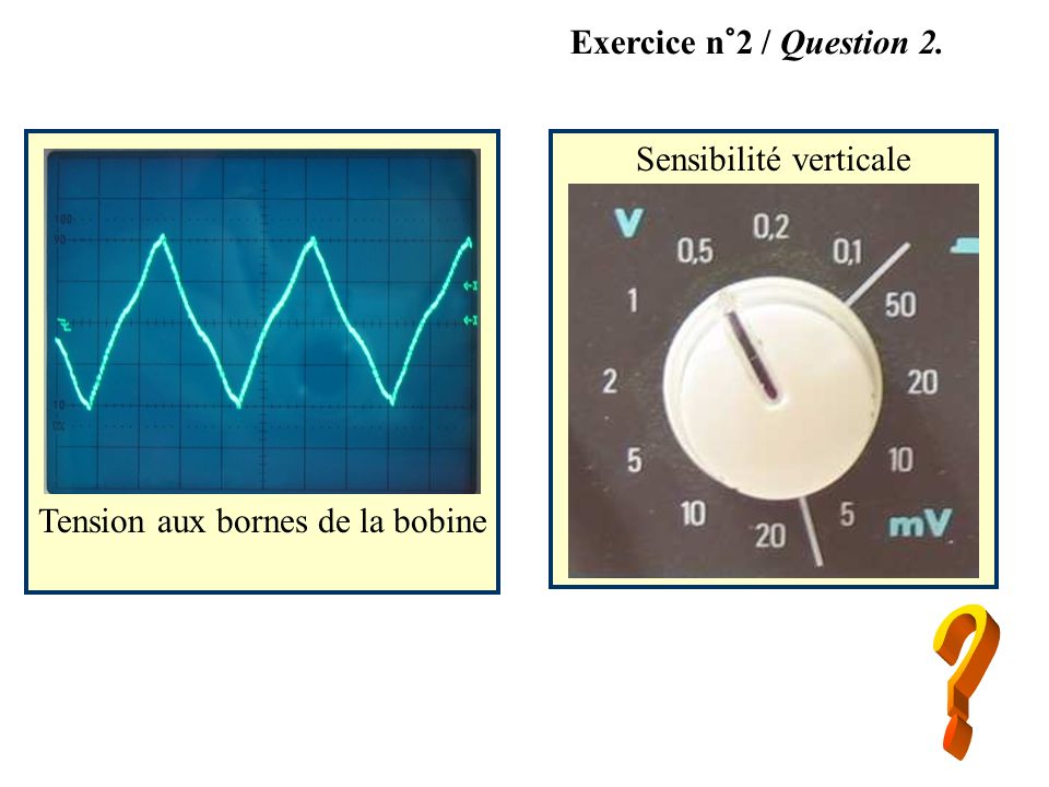 Exercice n°2 / Question 2. Sensibilité verticale