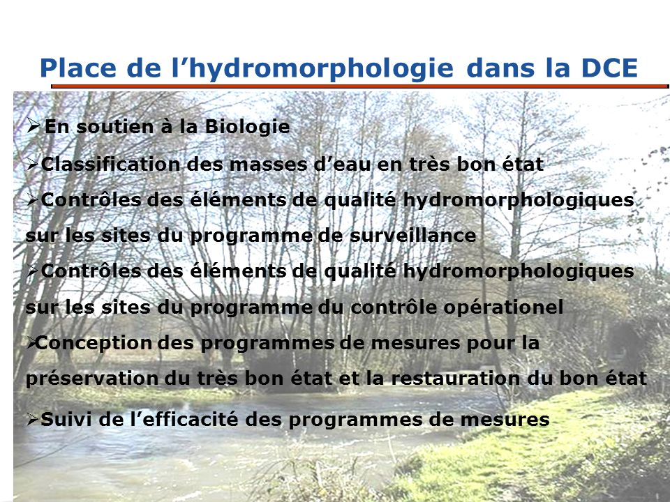 ELEMENTS DE QUALITE HYDROMORPHOLOGIQUES EN COURS D’EAU - Ppt Télécharger