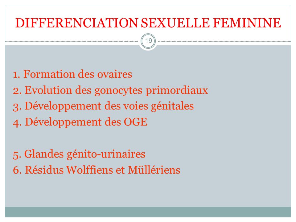 DIFFERENCIATION SEXUELLE FEMININE