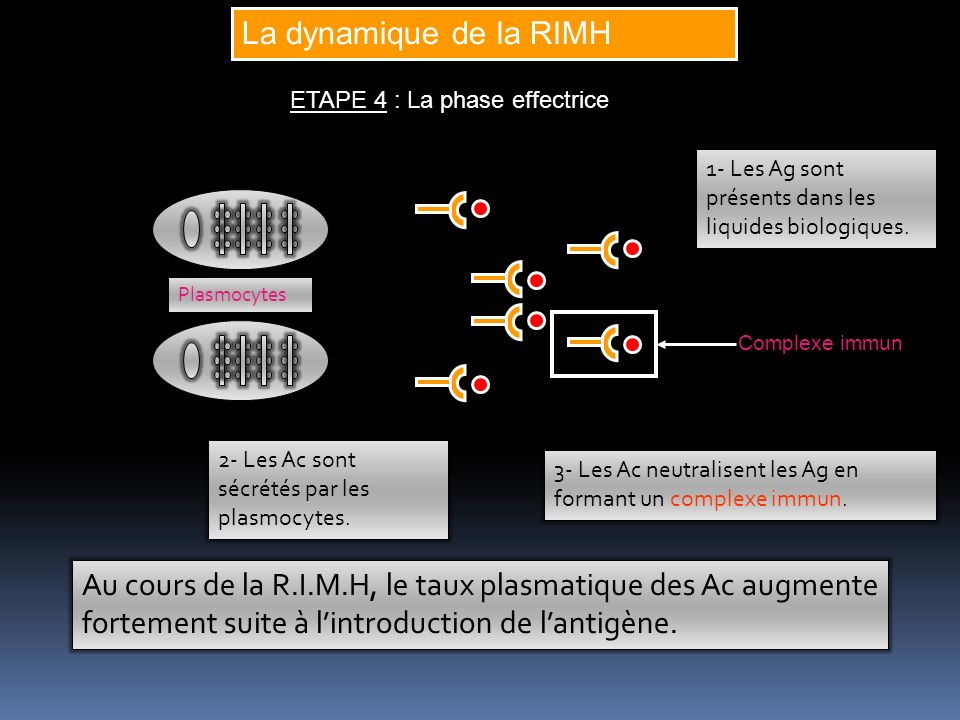 La dynamique de la RIMH ETAPE 4 : La phase effectrice. 1- Les Ag sont présents dans les liquides biologiques.