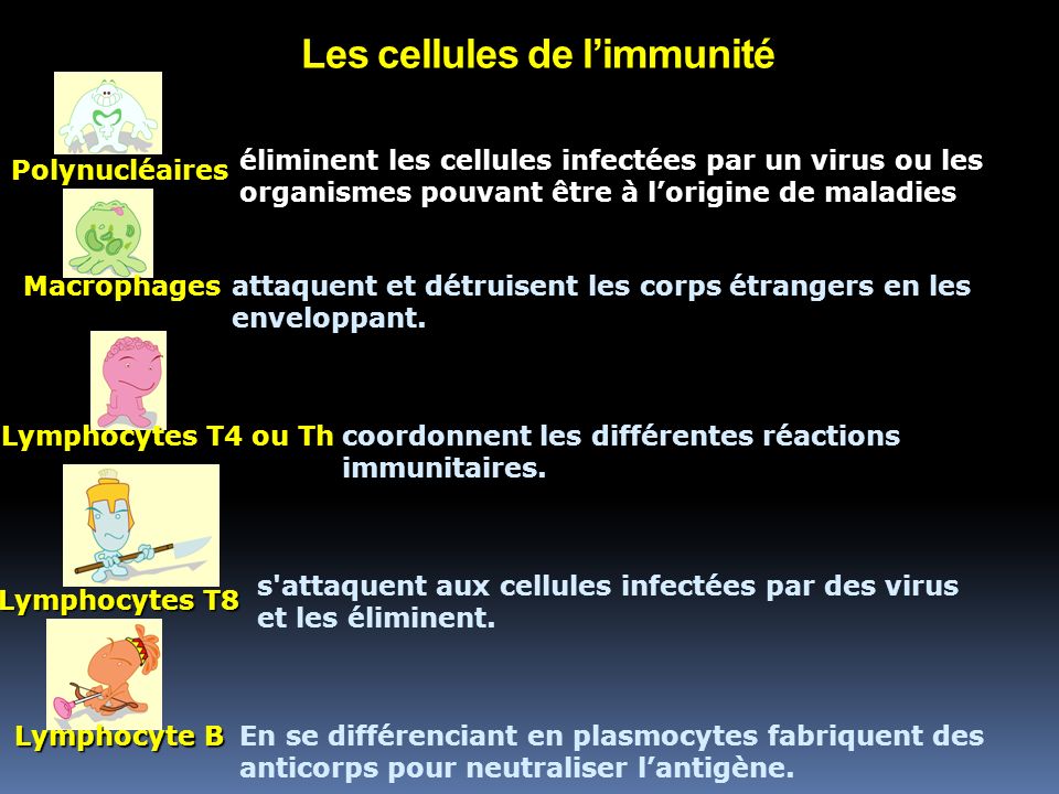 Les cellules de l’immunité