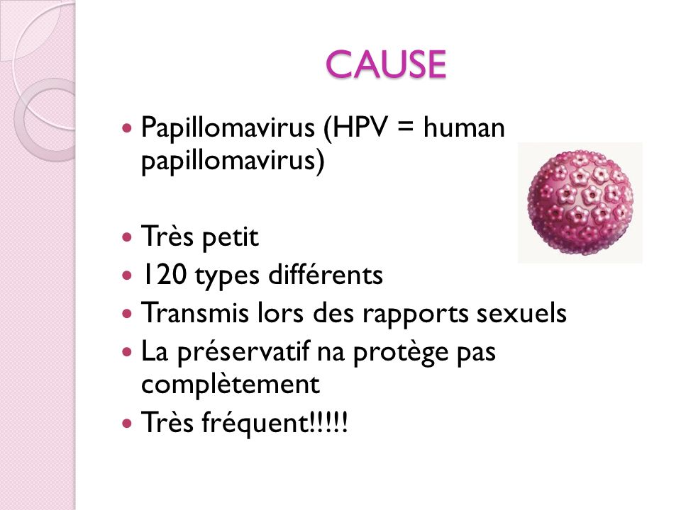 CAUSE Papillomavirus (HPV = human papillomavirus) Très petit