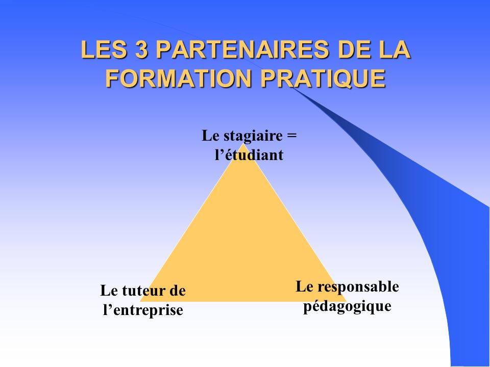 LES 3 PARTENAIRES DE LA FORMATION PRATIQUE