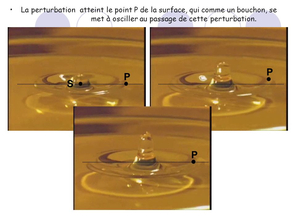 La perturbation atteint le point P de la surface, qui comme un bouchon, se met à osciller au passage de cette perturbation.