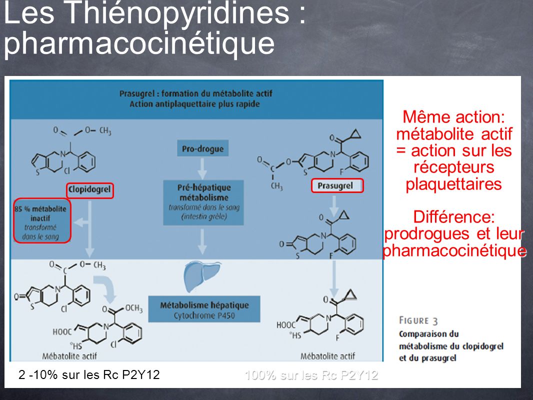 Les Thiénopyridines : pharmacocinétique
