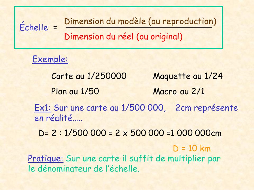 Dimension du modèle (ou reproduction)