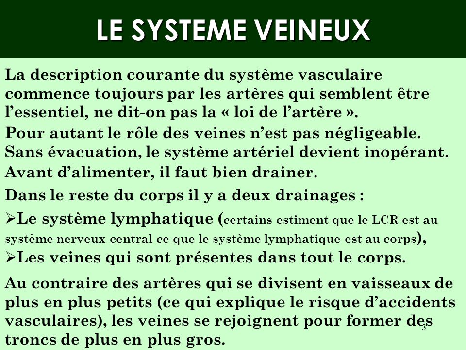 LE SYSTEME VEINEUX