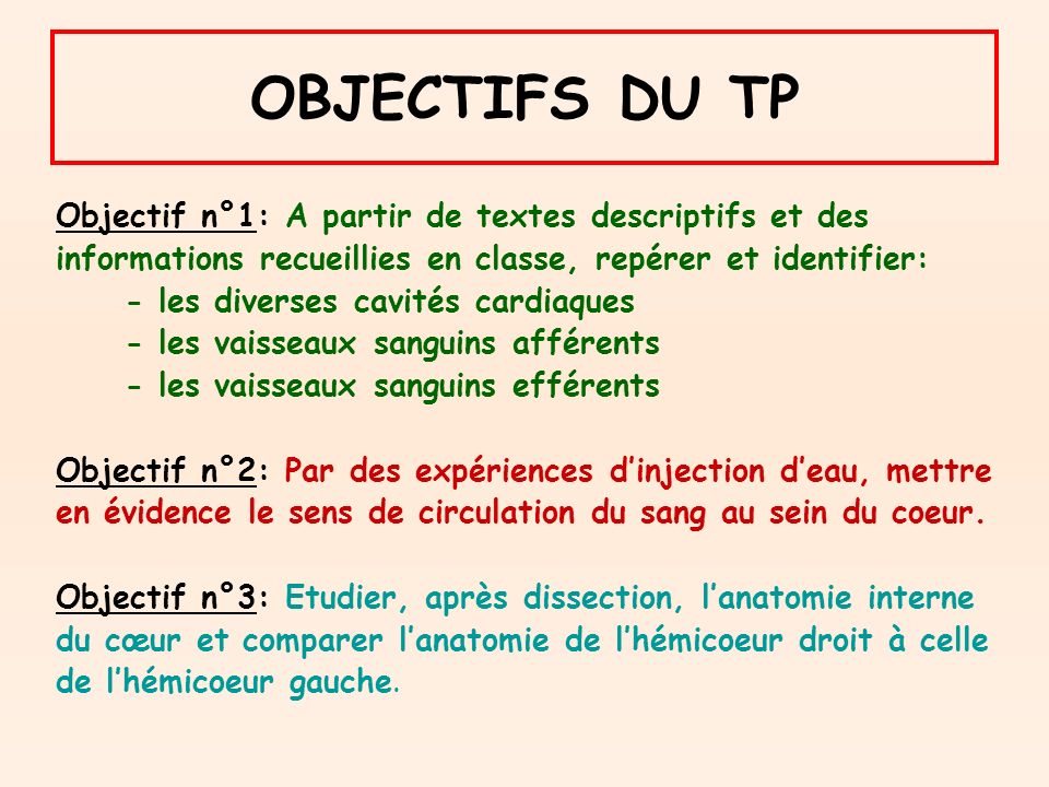 OBJECTIFS DU TP Objectif n°1: A partir de textes descriptifs et des