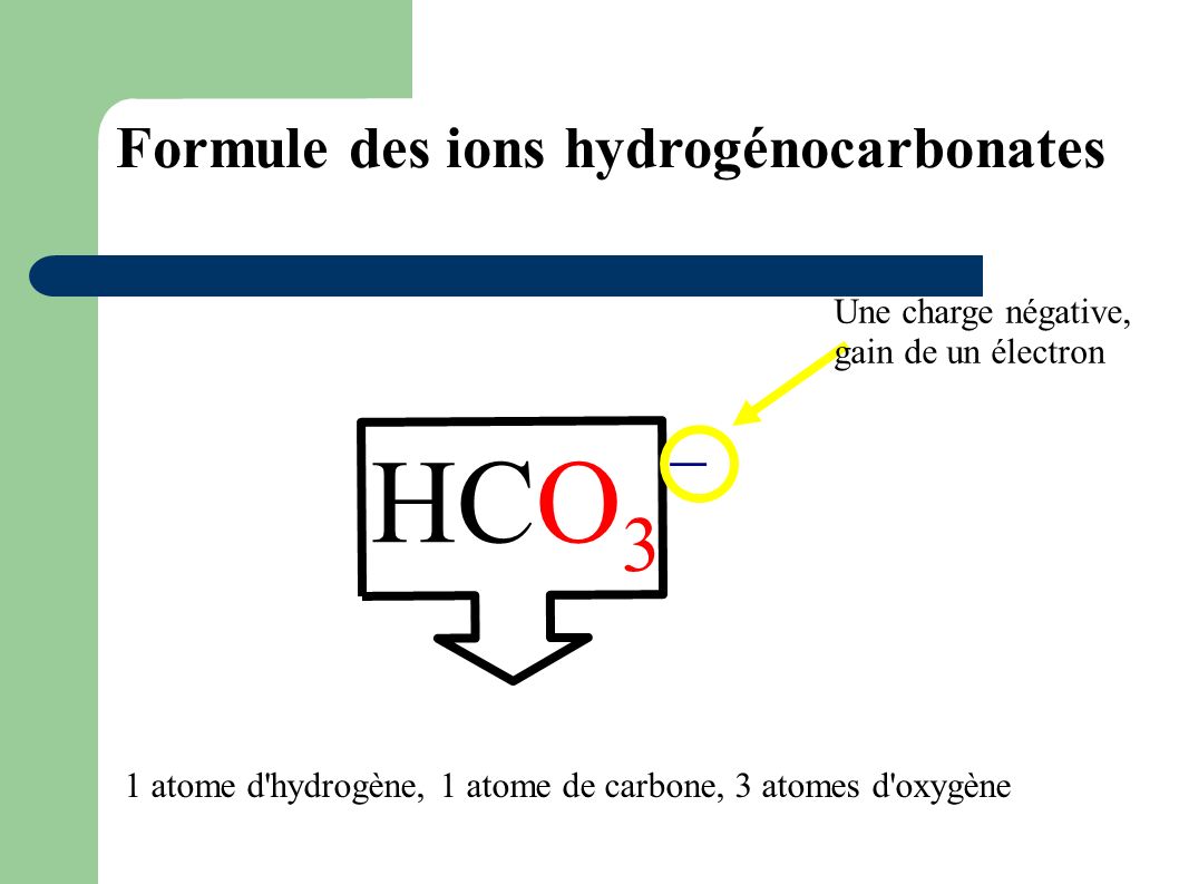 HCO3 _ Formule des ions hydrogénocarbonates