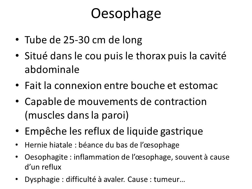 Oesophage Tube de cm de long