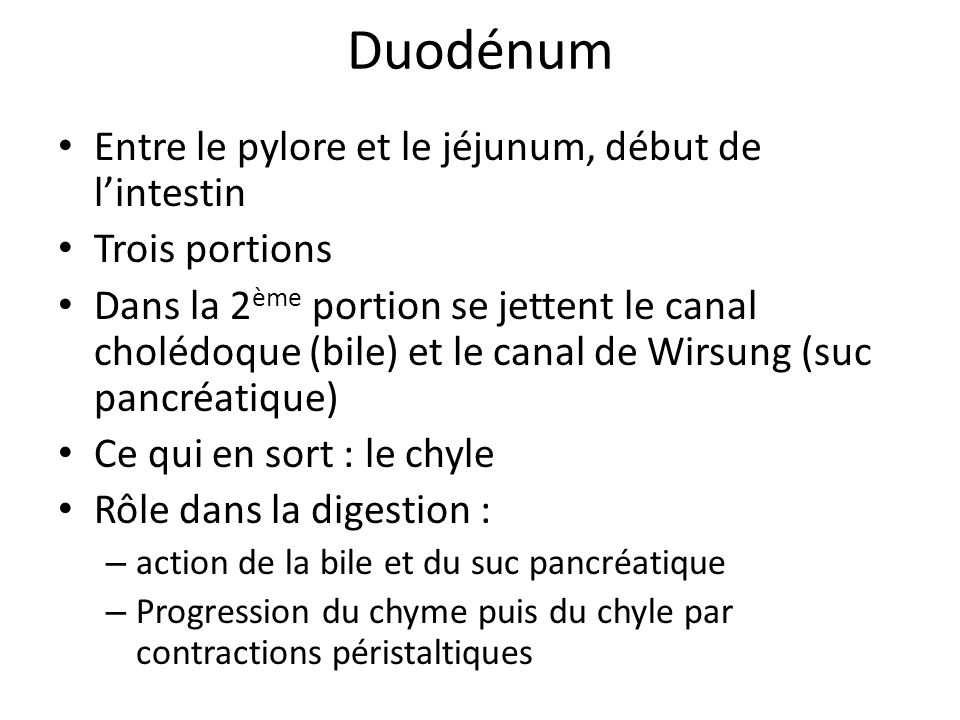 Duodénum Entre le pylore et le jéjunum, début de l’intestin