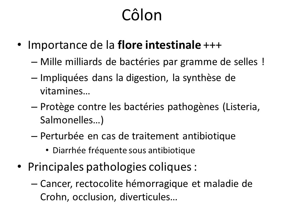 Côlon Importance de la flore intestinale +++