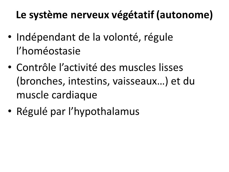 Le système nerveux végétatif (autonome)