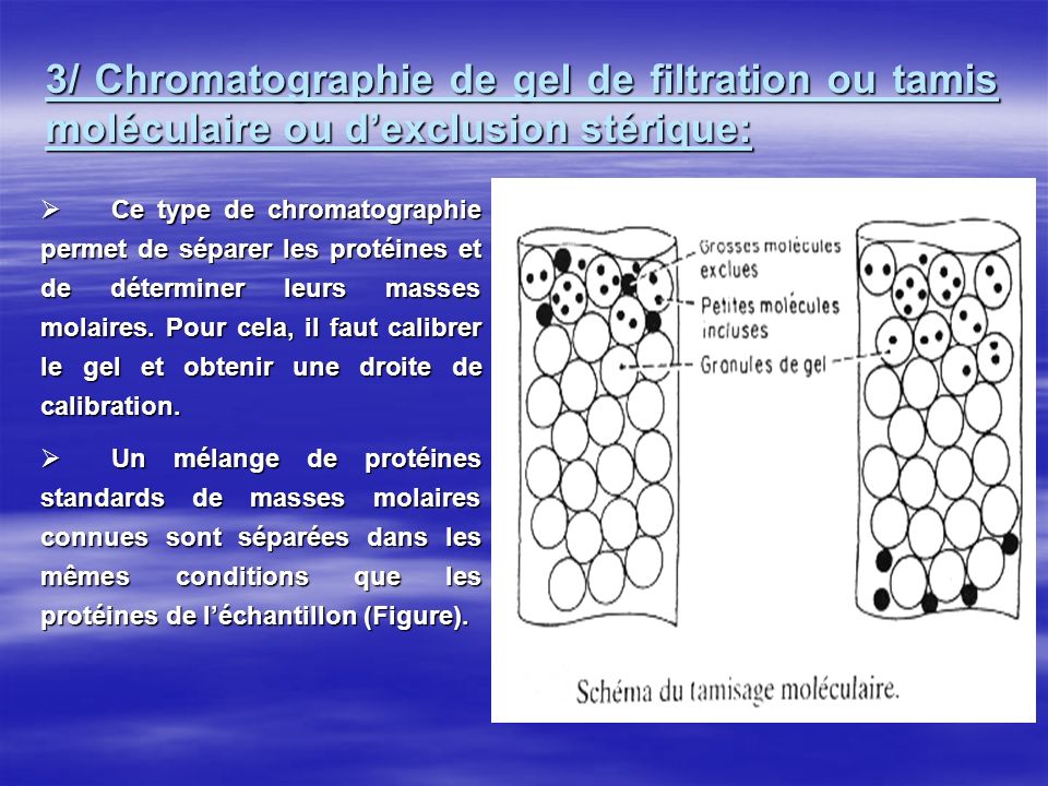3/ Chromatographie de gel de filtration ou tamis moléculaire ou d’exclusion stérique: