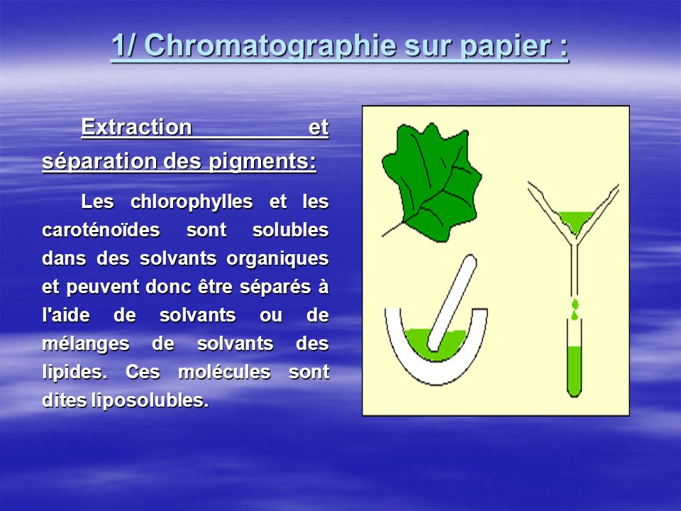 1/ Chromatographie sur papier :