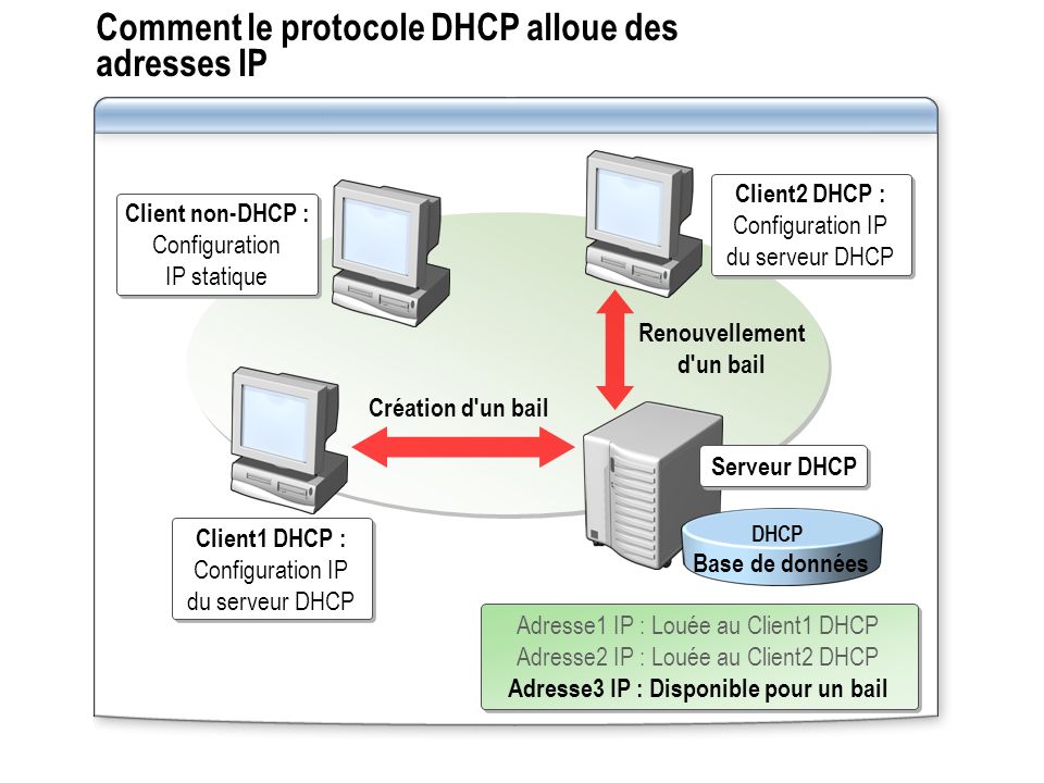 Comment le protocole DHCP alloue des adresses IP