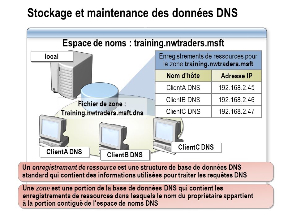 Stockage et maintenance des données DNS