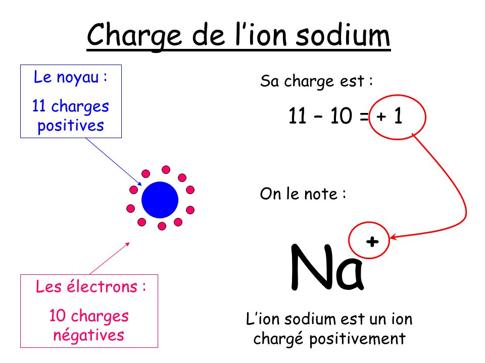 L’ion sodium est un ion chargé positivement