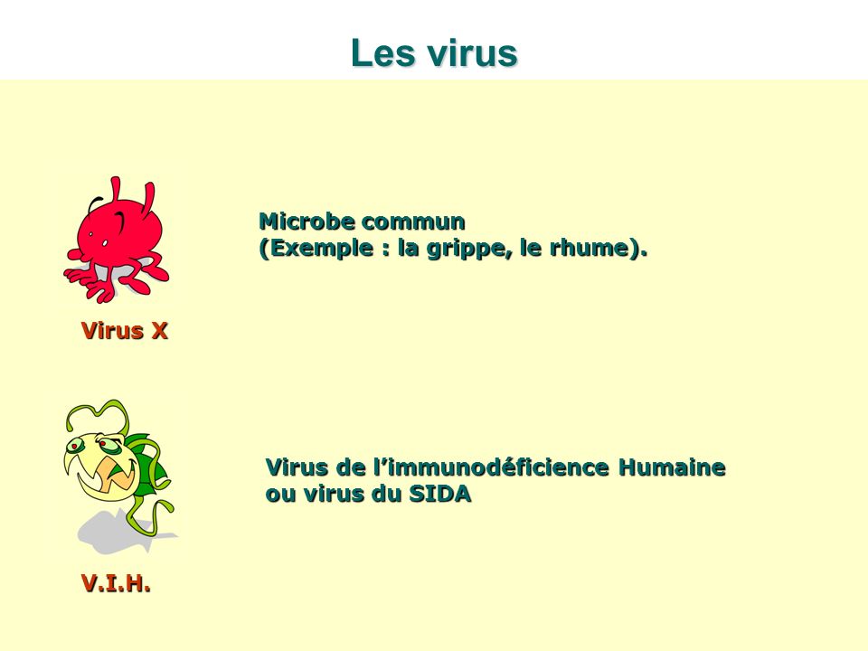 Les virus Microbe commun (Exemple : la grippe, le rhume). Virus X