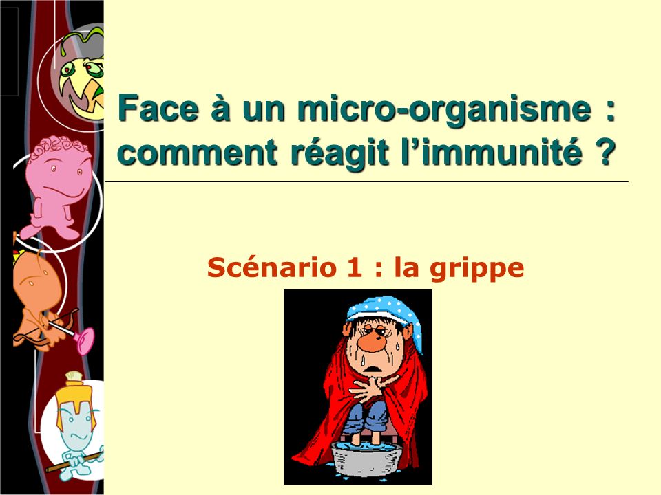 Face à un micro-organisme : comment réagit l’immunité