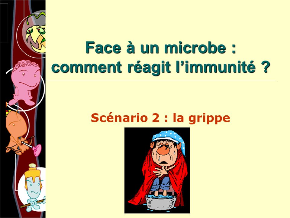 Face à un microbe : comment réagit l’immunité