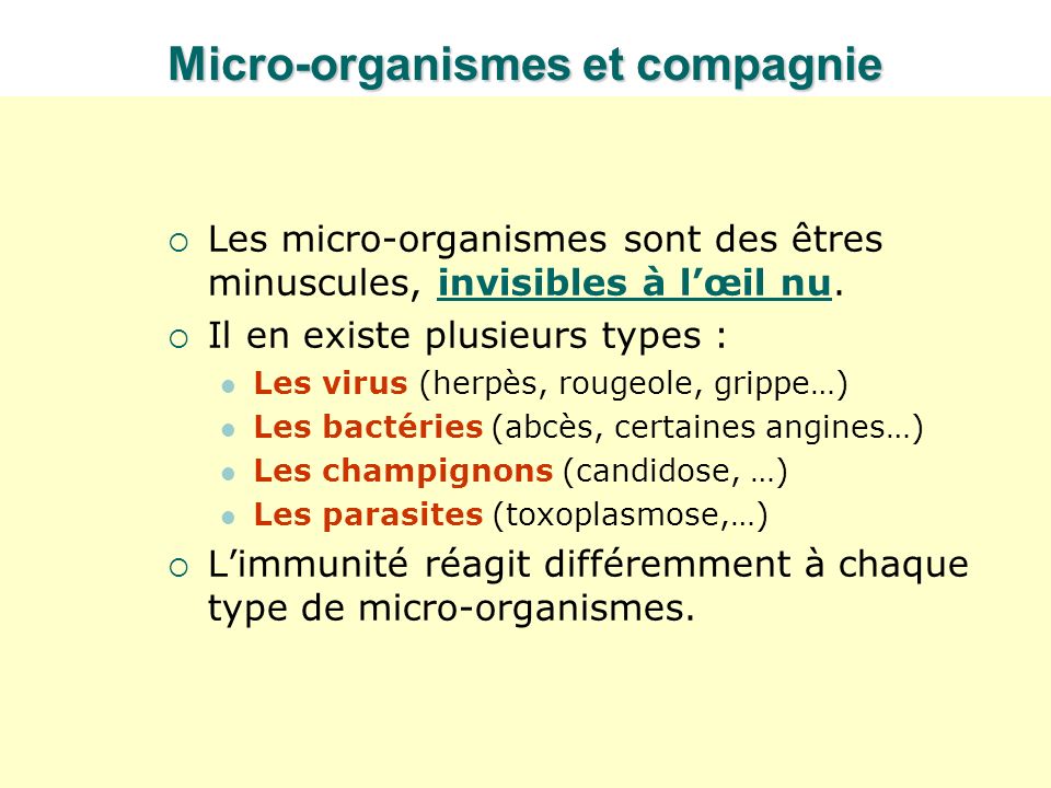 Micro-organismes et compagnie