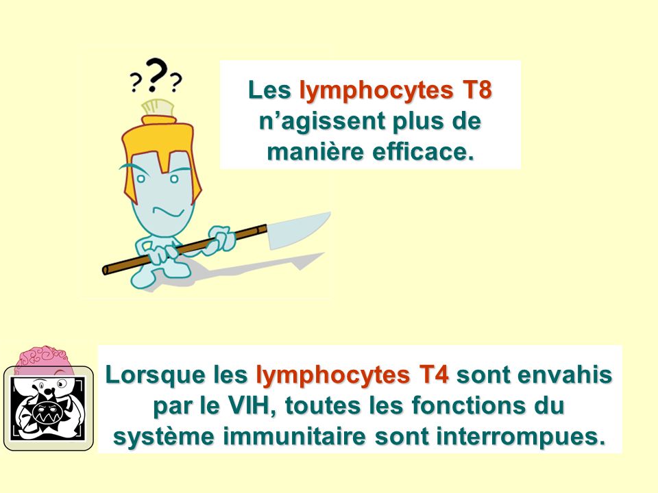 Les lymphocytes T8 n’agissent plus de manière efficace.