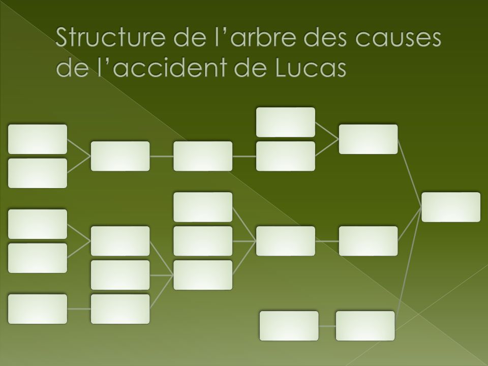 Structure de l’arbre des causes de l’accident de Lucas
