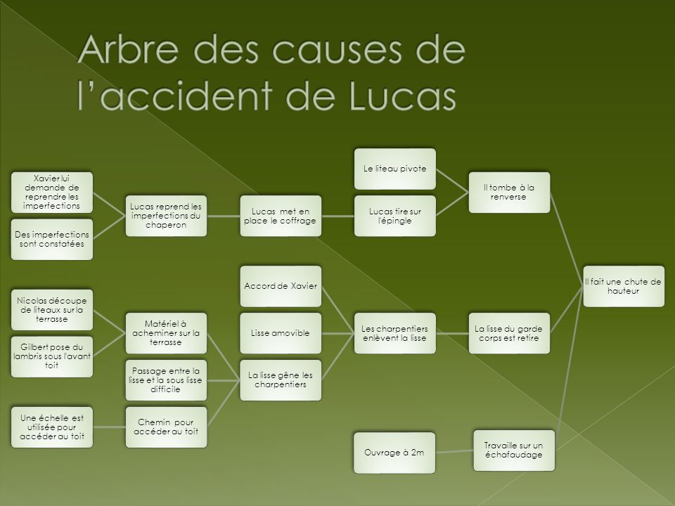 Arbre des causes de l’accident de Lucas