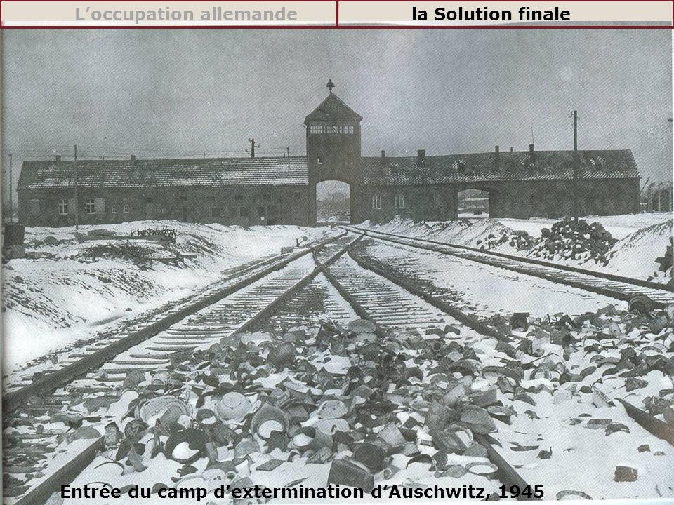 L’occupation allemande la Solution finale