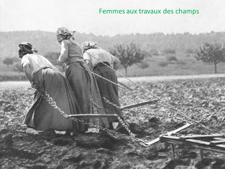 Femmes aux travaux des champs