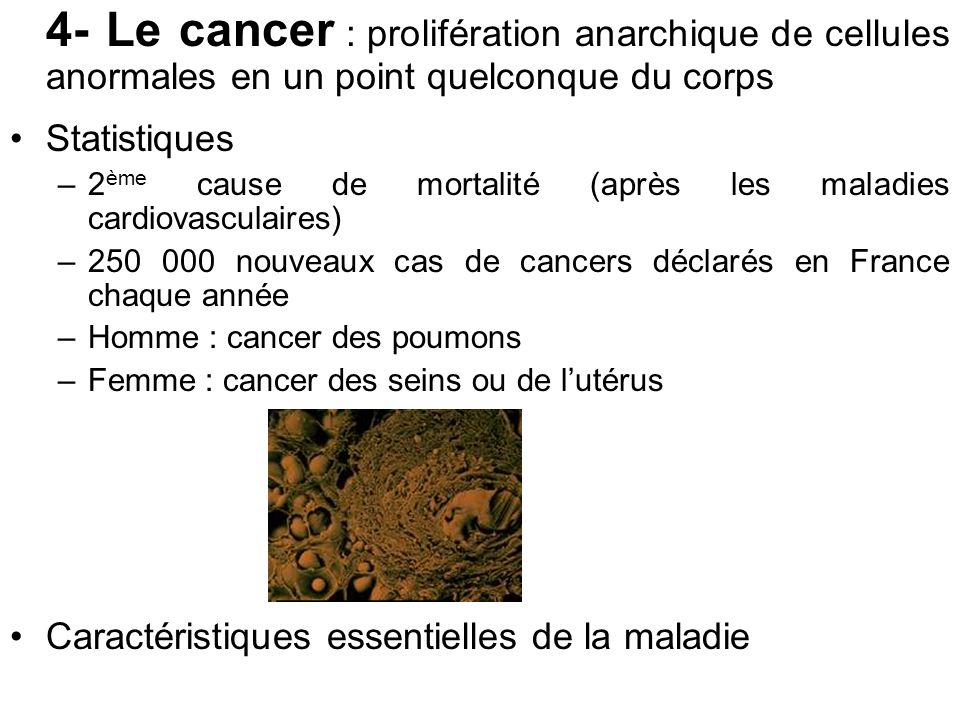 4- Le cancer : prolifération anarchique de cellules anormales en un point quelconque du corps