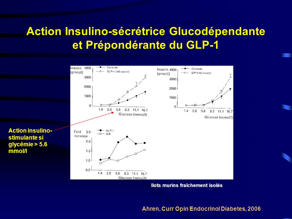 Action Insulino-sécrétrice Glucodépendante et Prépondérante du GLP-1