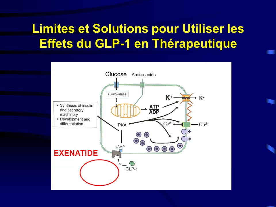 Limites et Solutions pour Utiliser les Effets du GLP-1 en Thérapeutique