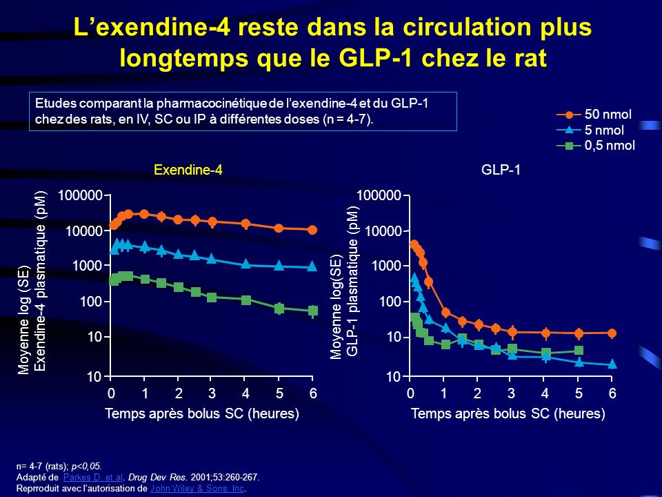 L’exendine-4 reste dans la circulation plus longtemps que le GLP-1 chez le rat