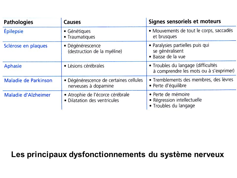 Les principaux dysfonctionnements du système nerveux