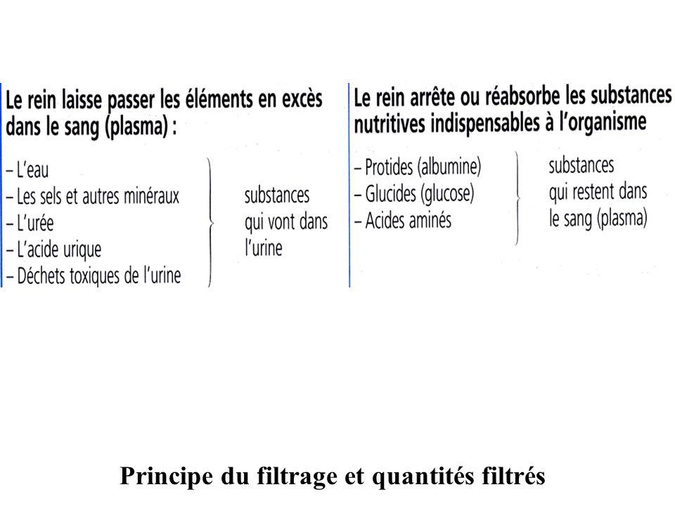 Principe du filtrage et quantités filtrés