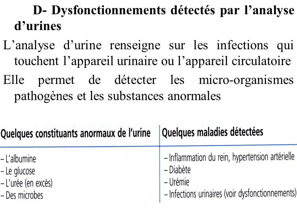 D- Dysfonctionnements détectés par l’analyse d’urines