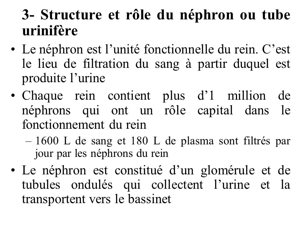 3- Structure et rôle du néphron ou tube urinifère