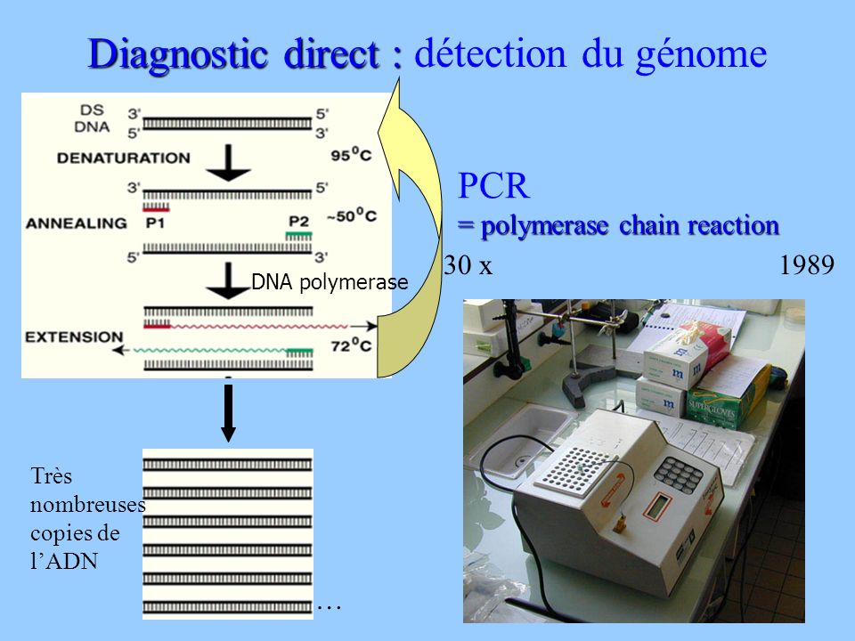Diagnostic direct : détection du génome