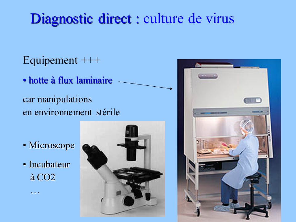 Diagnostic direct : culture de virus